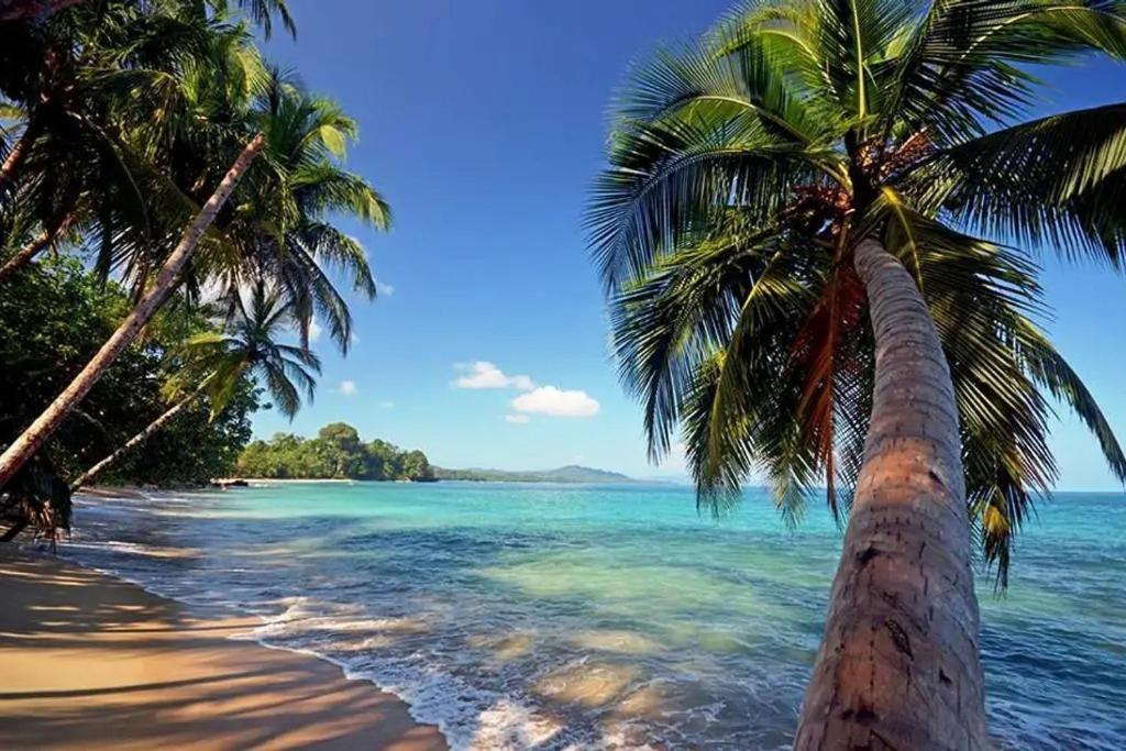 الشقق الفندقية Puerto Viejo de Talamancaفي  Roca Mar Rocawelch Puerto Viejo المظهر الخارجي الصورة